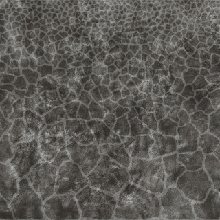 Roberto Cavalli Metal Soul Titanium Giraffe 80x80