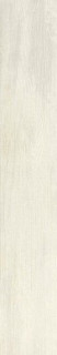 Roberto Cavalli Signoria Larice Lapp. Rett. 16,5х100
