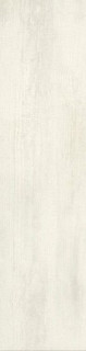 Roberto Cavalli Signoria Larice Lapp. Rett. 25х100
