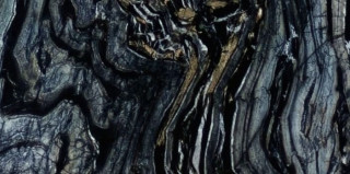 Roberto Cavalli Rock Symphony Glam Lux Firma 59,4x119