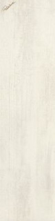 Roberto Cavalli Signoria Larice Lapp. Rett. Firma 25х100