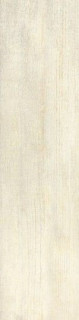 Roberto Cavalli Signoria Frassino Lapp. Rett. 25х100