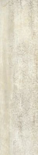Roberto Cavalli Signoria Frassino Nat Rett. Firma 25х100