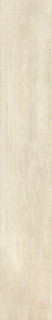 Roberto Cavalli Signoria Frassino Lapp. Rett. 16,5х100