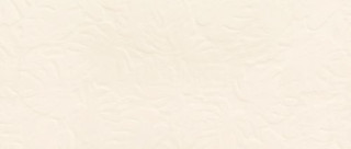 Roberto Cavalli Natural Leaves Ivory 32X75