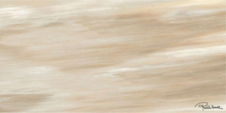 Roberto Cavalli Tanduk Conchiglia Rett. Firma 60х120