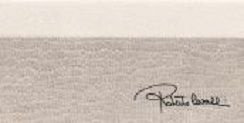 Roberto Cavalli Tanduk Alzata Conchiglia Firma 10x19,8