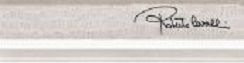 Roberto Cavalli Tanduk Torello Grigio Firma 5x19,8