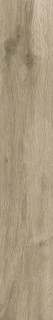 Sichenia Silvis Rovere Ret 20x120