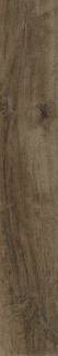 Sichenia Silvis Noce Ret 20x120