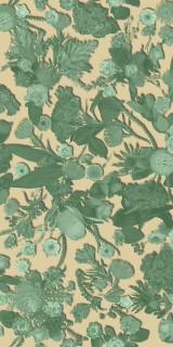 Sodai Bloom Essenza Green A 3.5 mm 50x100