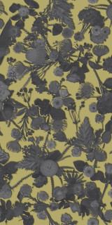 Sodai Bloom Specchio Yellow B 6 mm 60x120