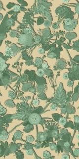 Sodai Bloom Essenza Green B 3.5 mm 50x100