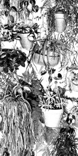 Sodai Veggie Treddi BW B 6 mm 60x120