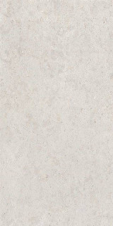 Supergres Moonlit Pearl RT R10 B 60x120H0.9
