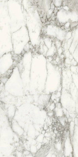 Supergres Purity Marble Arabescato Nat Rt 60x120