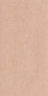 Supergres H. Coral Matt RT 60x120