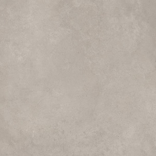 Tagina Concreta Grigio Chiaro Nat Ret 60x60