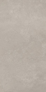 Tagina Concreta Grigio Chiaro Nat Ret 60x120