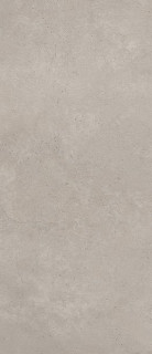Tagina Concreta Grigio Chiaro Nat Ret 120x280