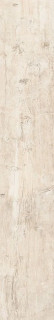 Tagina Rivamancina Naturale Nat Ret 20x120