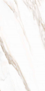 Tuscania Ceramiche Calacatta Oro Rett 61x122.2