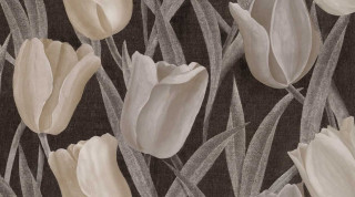 Vallelunga Decorandum Flos 50х100