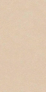 Versace Leatherwood Cuir Beige Nat 3D 60x120H0.85