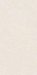 Versace Leatherwood Cuir White Nat 3D 60x120H0.85