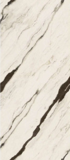 Versace Maximvs Panda White Lux 60x120