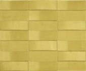 Viva Dolceamaro Mosaic Green Lime 25х30