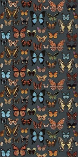 Wide&Style Papillon 160x320