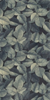 Wide&Style Mini Foliage R 60х120