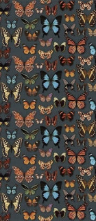 Wide&Style Papillon 120x278