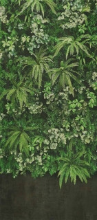 Wide&Style Secret Garden Wall 120x278