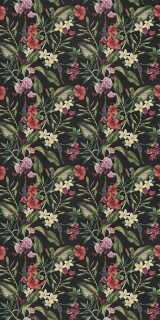 Wide&Style Tropicana 160x320