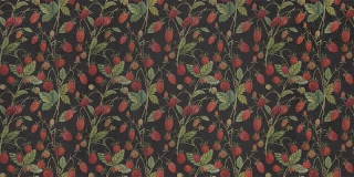 Wide&Style Wild Berry 60x120
