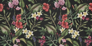 Wide&Style Tropicana 60x120