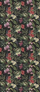 Wide&Style Tropicana 120x278