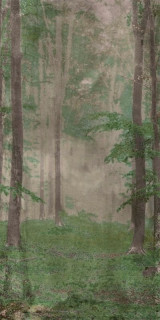 Wide&Style Woods B 160x320