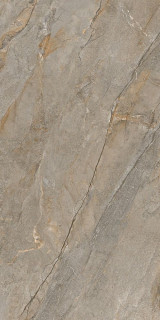 Basconi Home Brown Marble Polished (Gold) 8mm 60x120