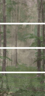 Wide&Style Woods B CP4 120x240