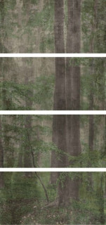 Wide&Style Woods C CP4 120x240