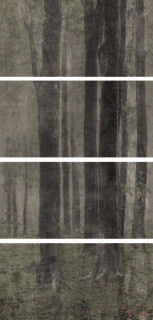Wide&Style Woods CP4 120x240