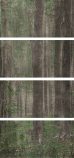 Wide&Style Woods A CP4 120x240