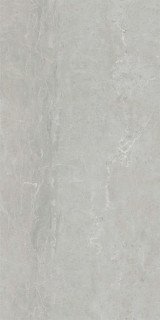 Basconi Home Illution Soft Polished (Gold) 8mm 60x120
