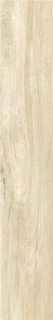 Basconi Home Larice Matt Struct 20x120H1