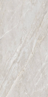 Basconi Home Roma Polished (Sinking Ink) 8mm 60x120