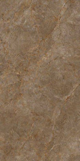 Basconi Home Root Brown Semi-Polished 60x120H1