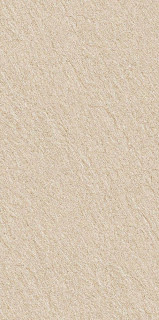 Basconi Home Sandstone Beige Mould-Grain 10mm 60x120